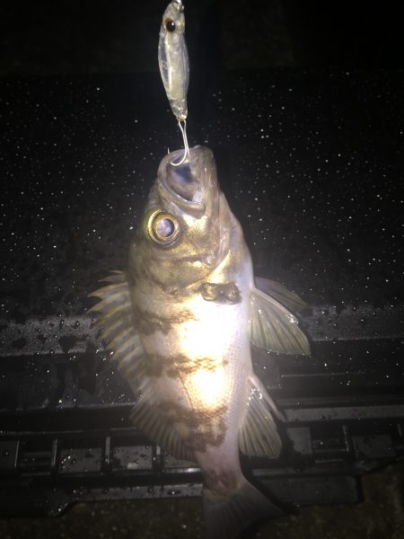 小雨の中ライト